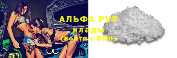 apvp Алексин