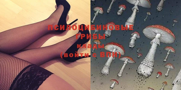 apvp Алексин