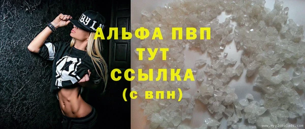 прущие грибы Алзамай