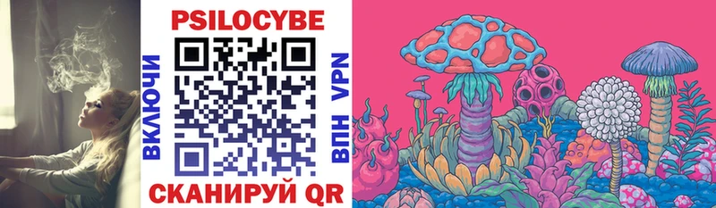 Псилоцибиновые грибы Psilocybine cubensis  Удачный 